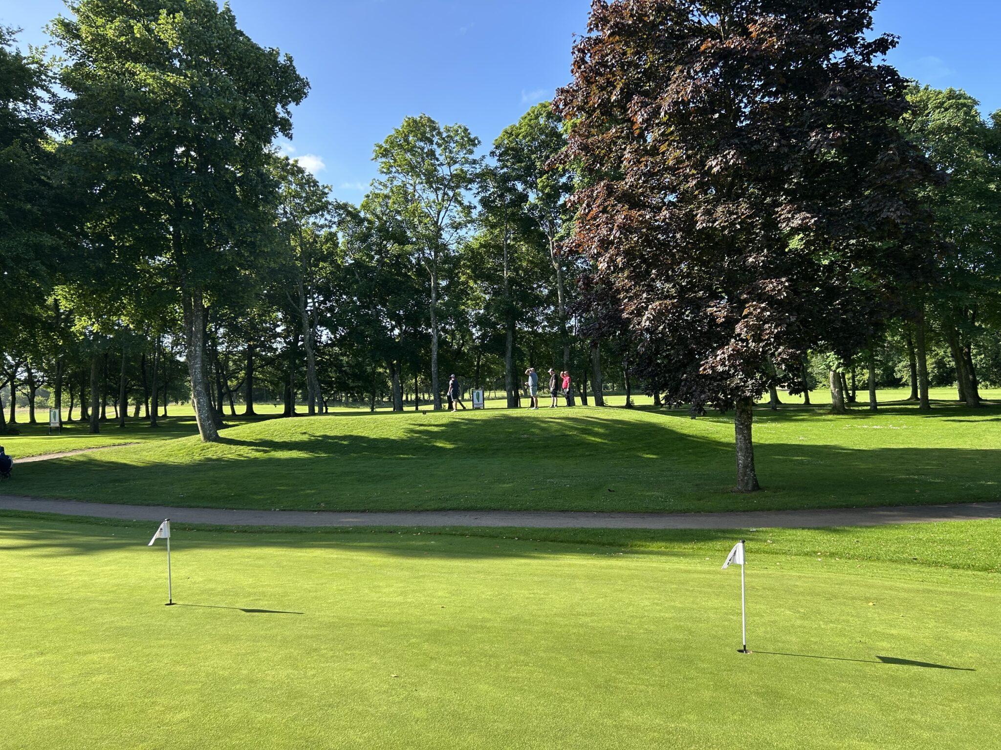 G ster Ribe Golfklub g-ster-ribe-golfklub
